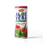 aloe-vera-watermelon-flavour-nasami