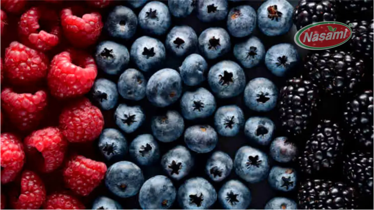 Top 17 Best Healthy Juice 2024 3 berry-juice-a-sweet-antioxidant-boost-nasami