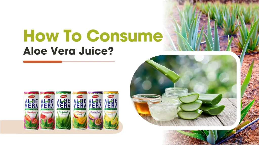 how-to-consume-aloe-vera-juice-nasami