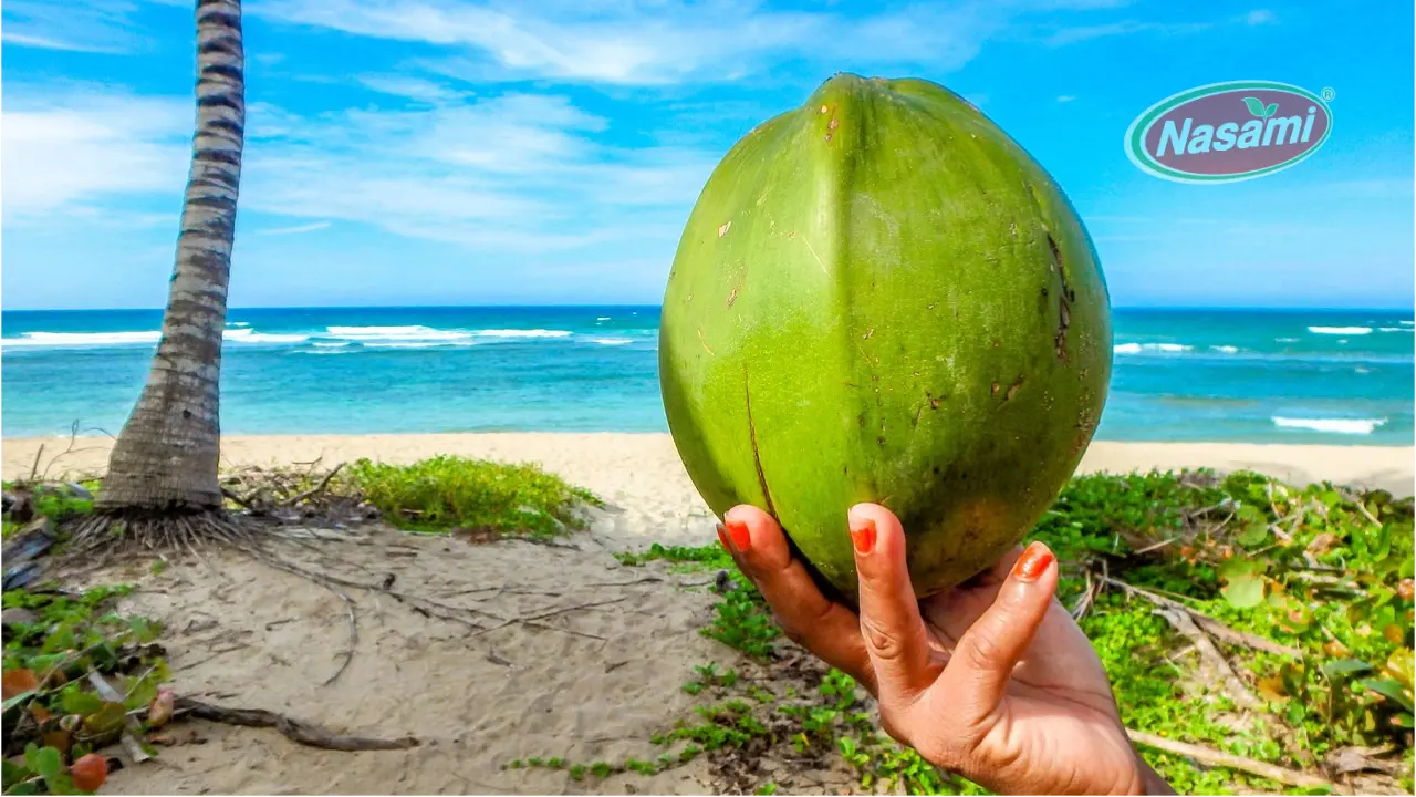 Is Coconut Water Keto Friendly? (2024) 9 what-is-a-keto-diet-nasami (2)