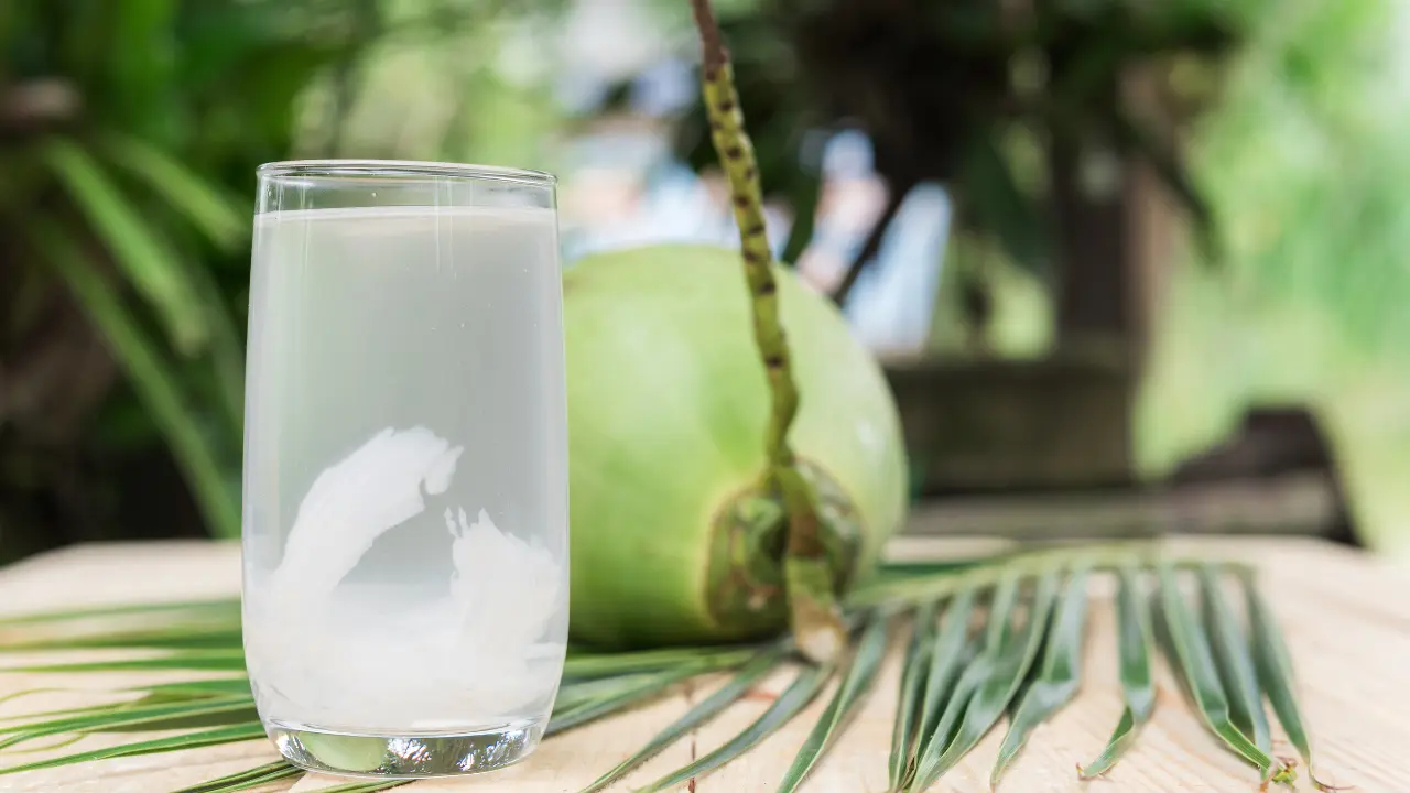 Is-pressed-coconut-water-better-nasami