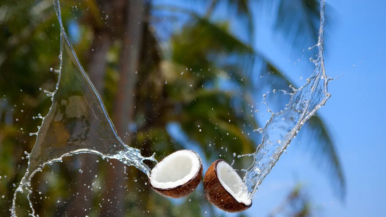 Can You Drink Brown Coconut Water?