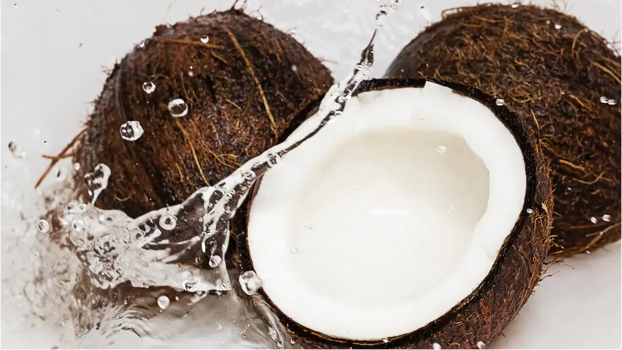 is-coconut-oil-water-soluble-nasami (3)