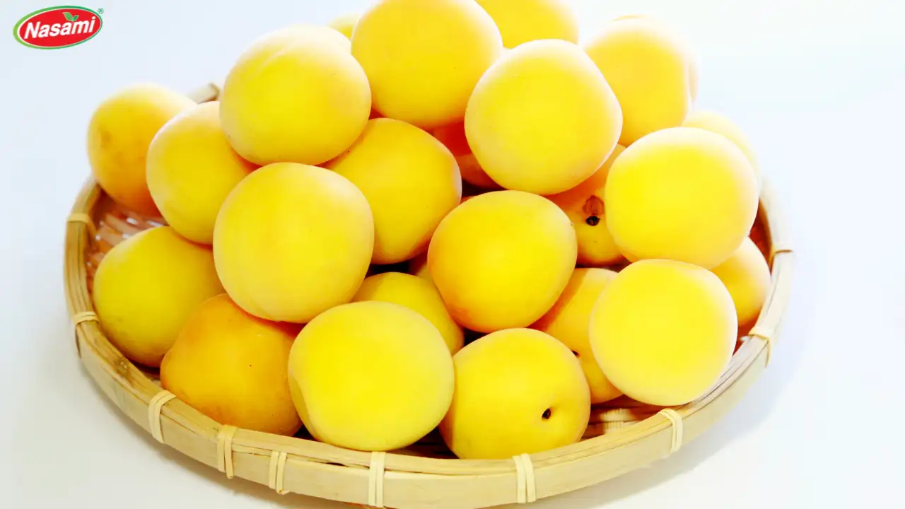 Ume Sparkling Juice: 6 Amazing Benefits You Should Know 1 90