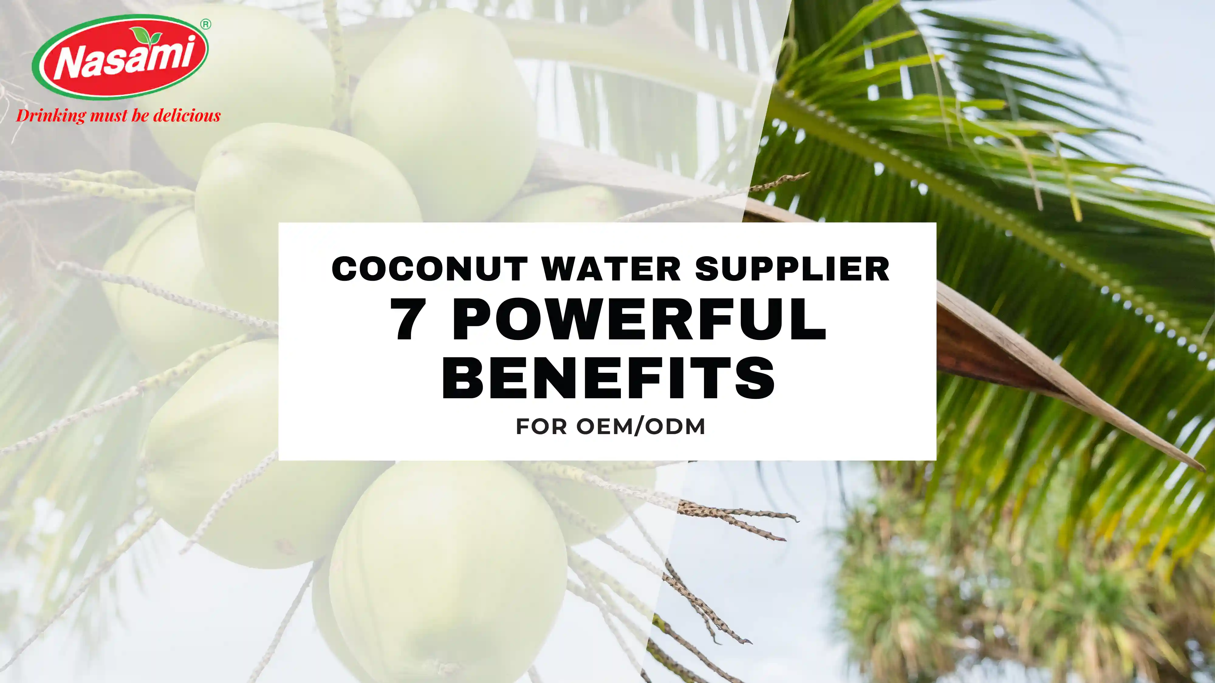 Coconut Water Supplier 7 Powerful Benefits for OEM/ODM