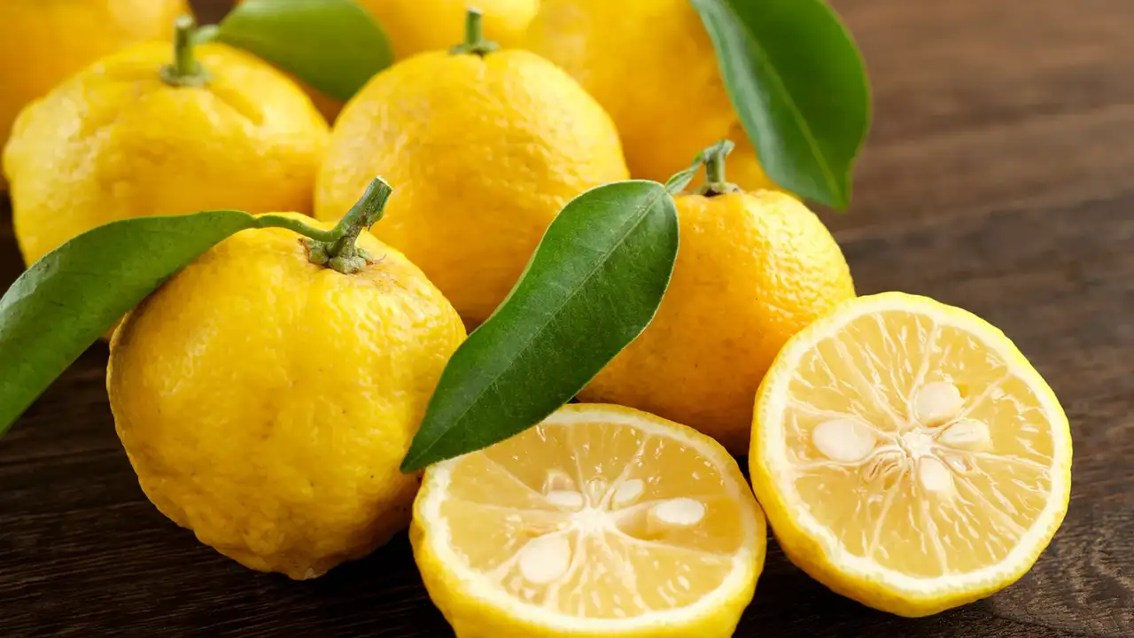 Top 8 Reasons Yuzu Juice Deserves a Spot in Your Product Portfolio 9 Cross-section of a yuzu juice showing its juicy flesh and seeds