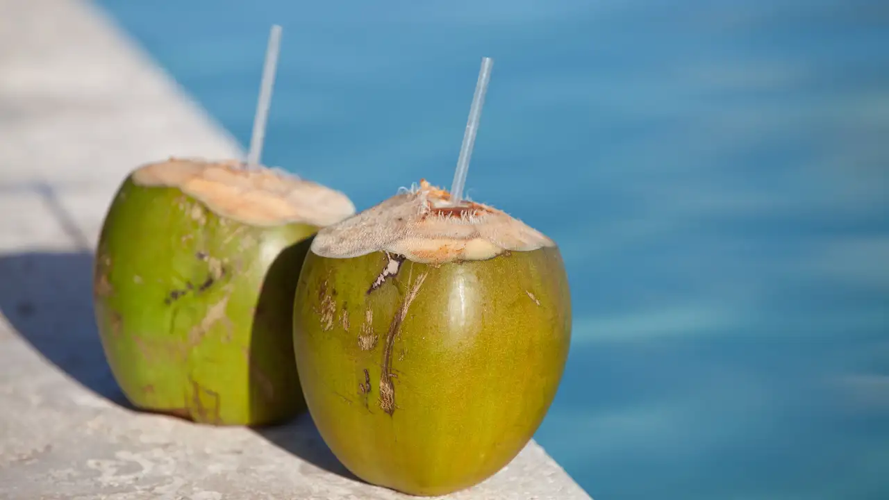 Young Coconut in Bottle: 7 Powerful Reasons to Choose It 11 Drinking young coconut water in bottle for better digestion and gut health