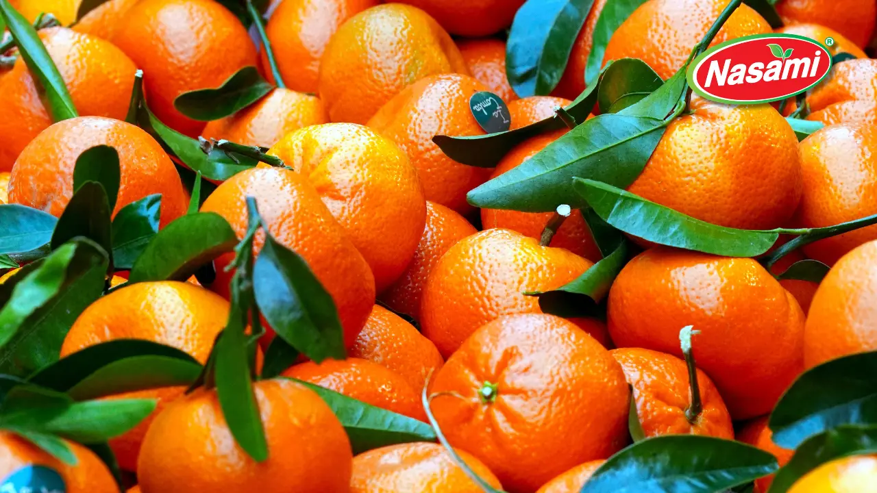 Mandarin Juice: 6 Top OEM Benefits B2B Buyers Love 6 Focus on Core Business Operations
