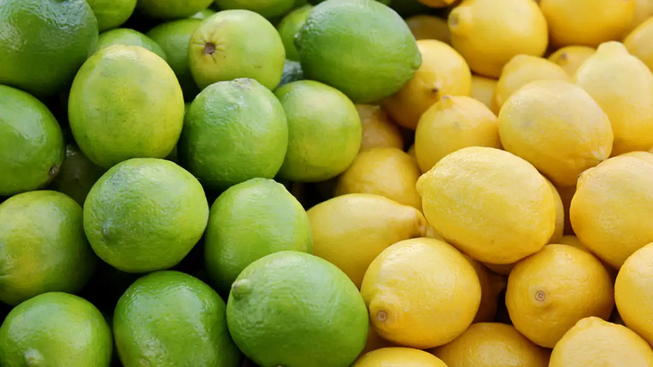 Is Lemon Juice Price Worth It In 2025? 1  Freshly squeezed lemon juice price with vibrant