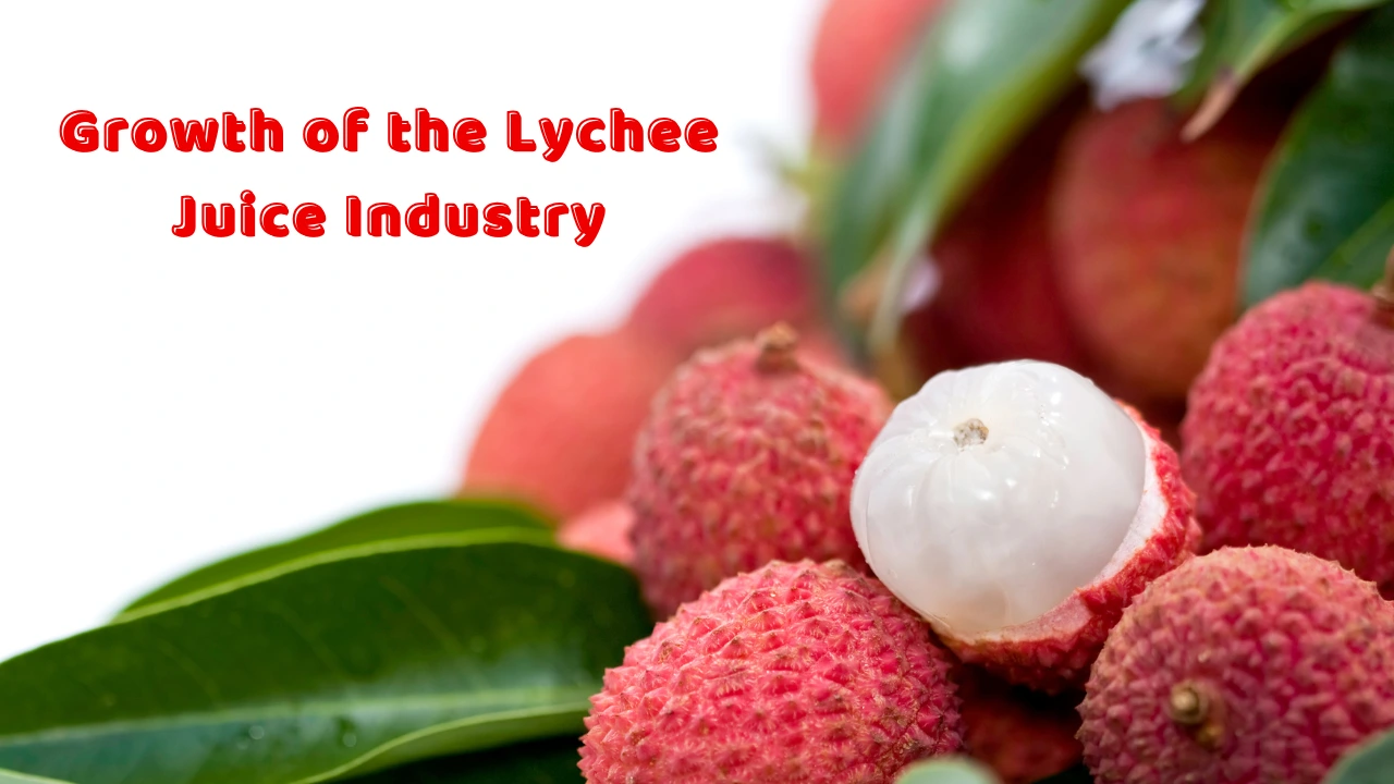 Lychee Juice Trend: The Best OEM & ODM Choice 2025 2 Growth of the Lychee Juice Industry