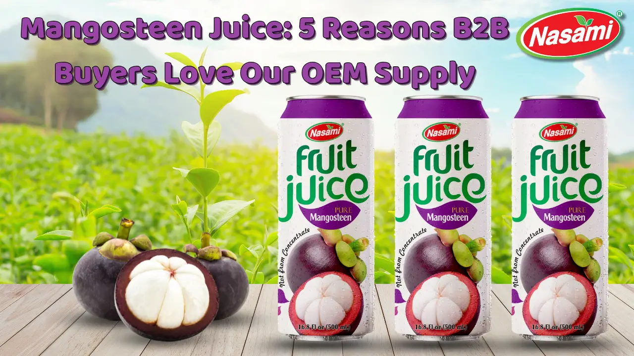 Mangosteen Juice 5 Reasons B2B Buyers Love Our OEM Supply