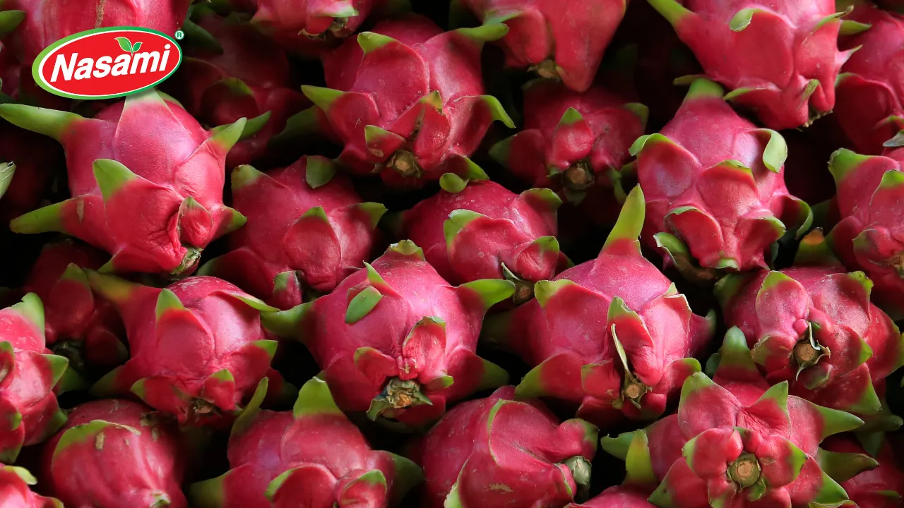 Tropical Dragon Juice: 6 Powerful Wins for B2B Buyers 3 OEM & ODM Flexibility Custom Solutions for Every Business