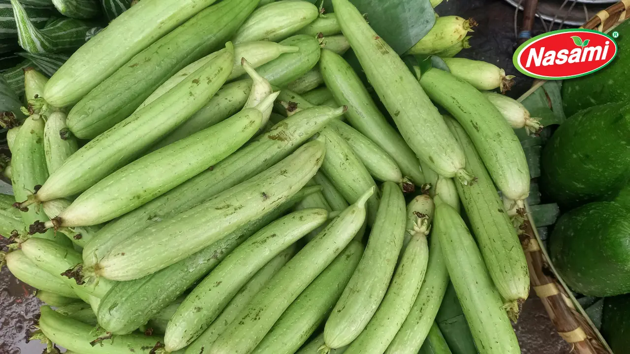 Winter Melon Juice: 5 Powerful OEM Reasons B2B Buyers Choo 4 Strong Branding and Marketing Potential