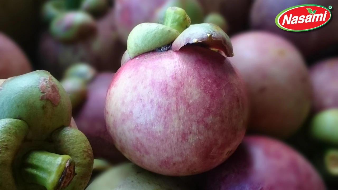Mangosteen Juice: 5 Reasons B2B Buyers Love Our OEM Supply 2 Superior Product Quality That B2B Clients Trust