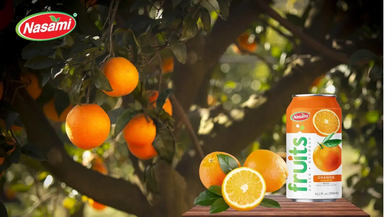 Orange Juice: 8 Proven Reasons It Beats Other Juices 2 Antioxidants in Orange Juice