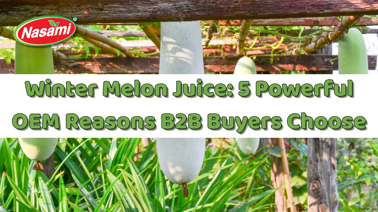 Winter Melon Juice 5 Powerful OEM Reasons B2B Buyers Choose