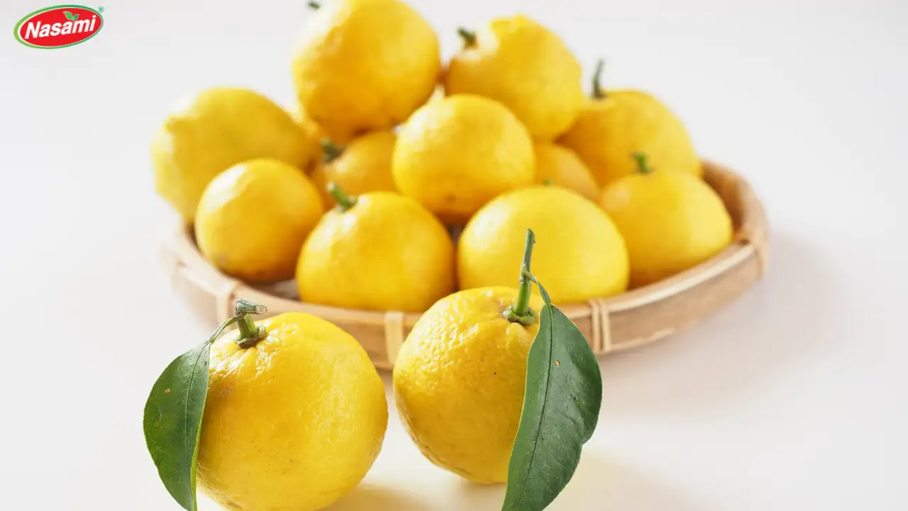 7 Must-Try Premium Yuzu Sparkling Juices for Pure Delight 1 YUZU FRUIT