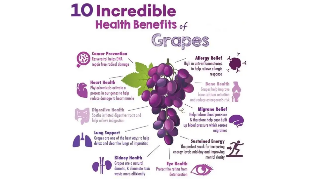 B2B Insights: Essential Grape Juice Market Trends & Opportunities 3 grape-juice-nasami-3