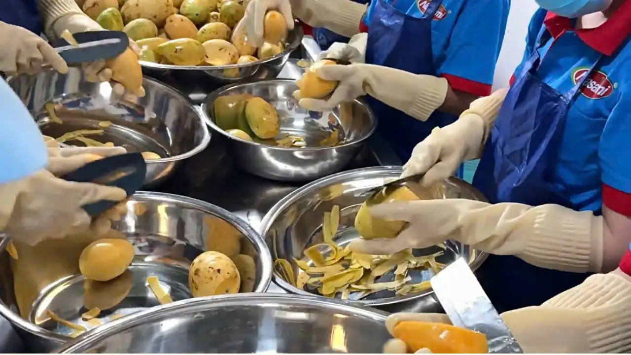 Mango Fruit Juice: The Best Beverage Business in 2025 4 mango-juice-nasami-6