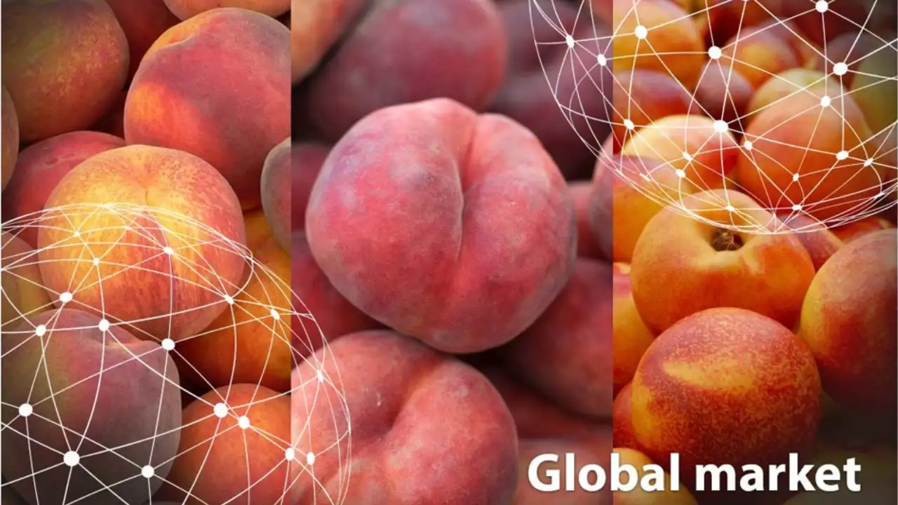 Premium Peach Juice Wholesale – The Perfect Choice for B2B & Distributors 2 peach-juice-nasami-3