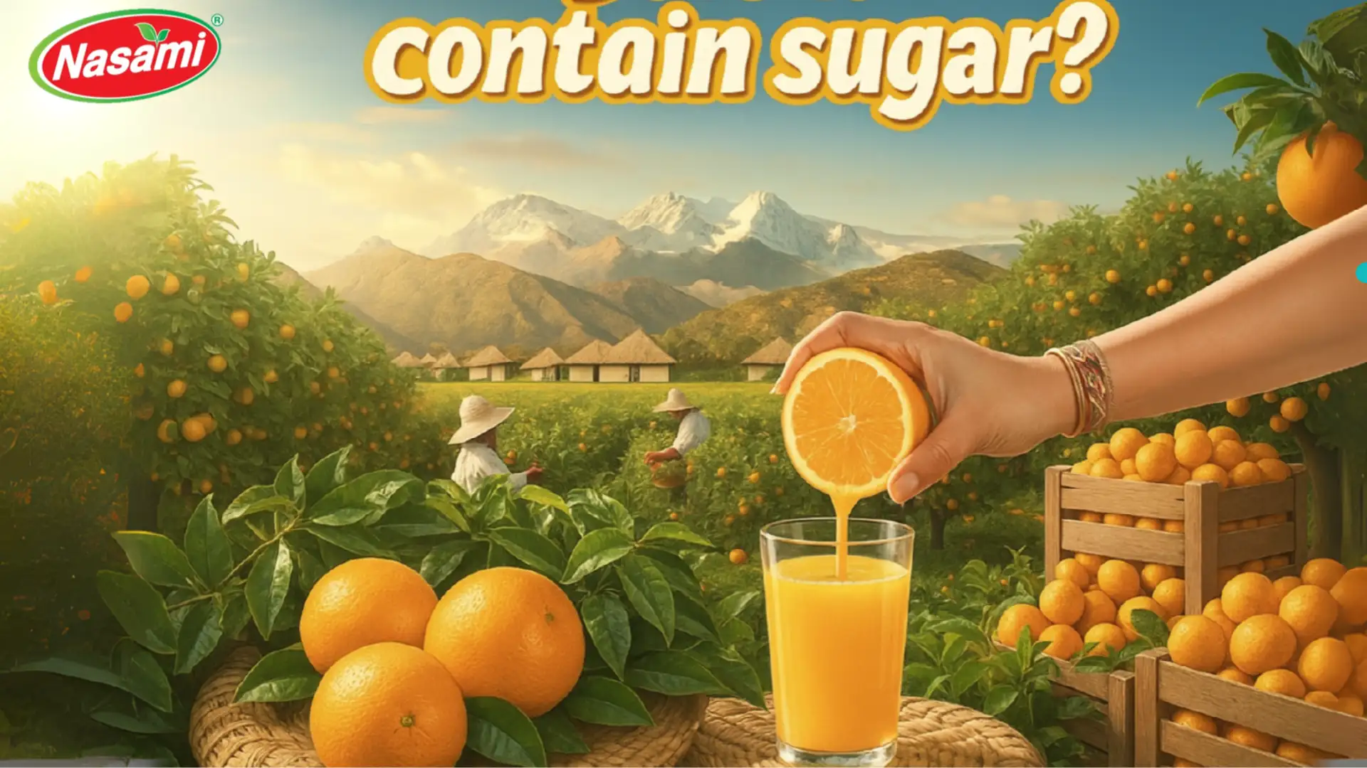 100 Pure Orange Juice Not from Concentrate: 3 Amazing Truths 3 100 Pure Orange Juice Not from Concentrate: Contain Sugar?